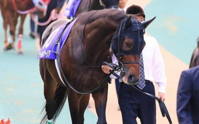 【宝塚記念】予想オッズは“3強”　サートゥルナーリアに牝馬2頭が続く