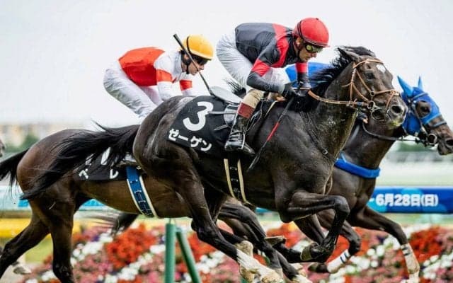 【町田特別】ディープ産駒の良血馬ゼーゲンが大外一気を決める