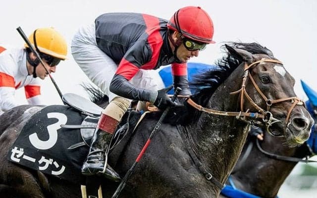 【町田特別】デムーロ「良いスタミナ」良血ゼーゲンが差し切る