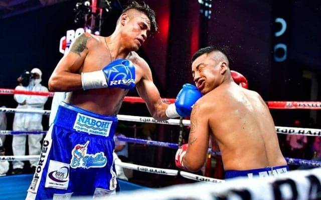 ナバレッテが悶絶右ボディーで6回TKO勝ち　自身27連勝、フェザー級でも着実勝利