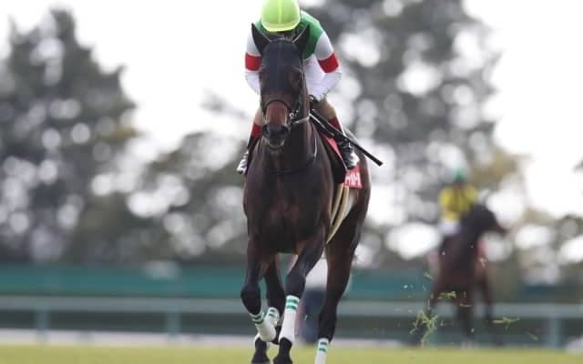 GI宝塚記念＆JpnI帝王賞に注目/今週の競馬界の見どころ