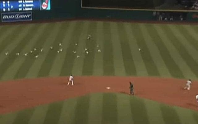 【球界名場面番外編】カモメの“守備妨害”でサヨナラに…予想外の珍事に「なんて奇妙な負け方」