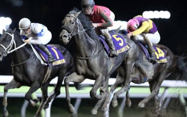 【大井・帝王賞】国内無敗のクリソベリル、連覇狙うオメガパフュームら豪華メンバーが激突/レースの見どころ(地方競馬)