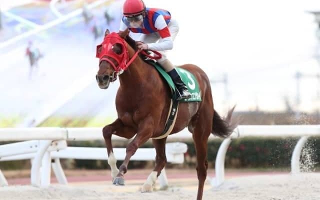 【園田FCスプリント枠順確定】前走圧勝ダノングッドは5枠6番、昨年2着エイシンエンジョイは6枠7番