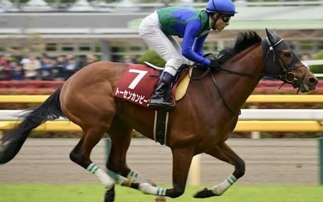 【宝塚記念展望】適性が鍵を握るグランプリ、あの穴馬に注目したい