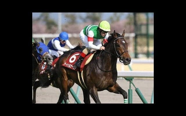 宝塚記念はサートゥルナーリアで鉄板か「今ならアーモンドアイに勝てる」