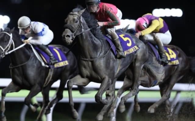 【帝王賞予想オッズ】昨年覇者オメガパフュームが予想1番人気