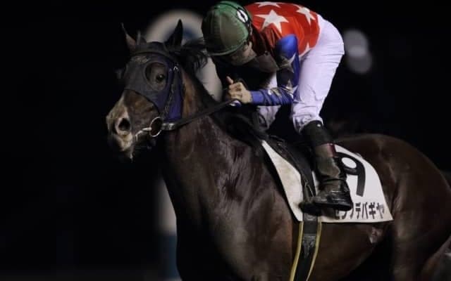 【門別競馬情報】 ダービー快勝、次は二冠に挑むアベニンドリーム。今夜メインは少頭数、人気サイドの決着!?「登別地獄谷特別」/地方競馬情報