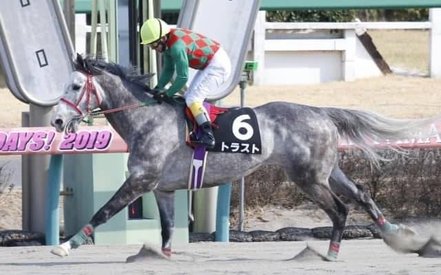 【東京ジャンプS想定騎手】トラストは熊沢重文騎手、フォワードカフェは石神深一騎手