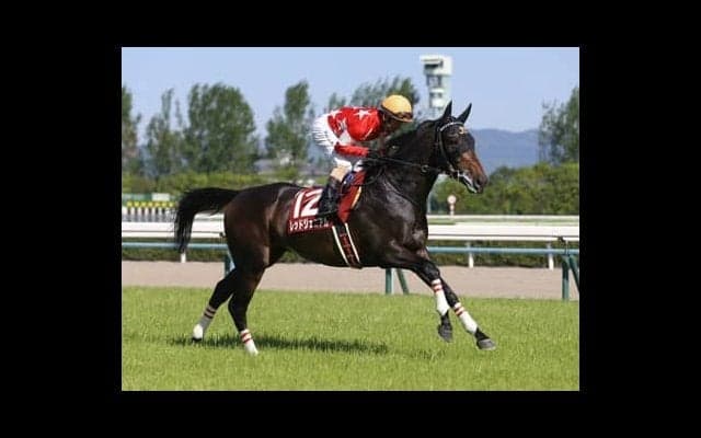 波乱が多い宝塚記念。BIGボーナスをもたらす穴馬パターンは２つある