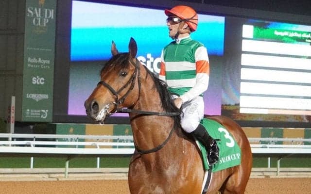 【帝王賞】枠順と見どころ クリソベリルは5枠8番