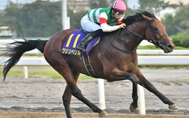 【帝王賞予想】豪華メンバーで争われるダート王決定戦!!/NARレース展望