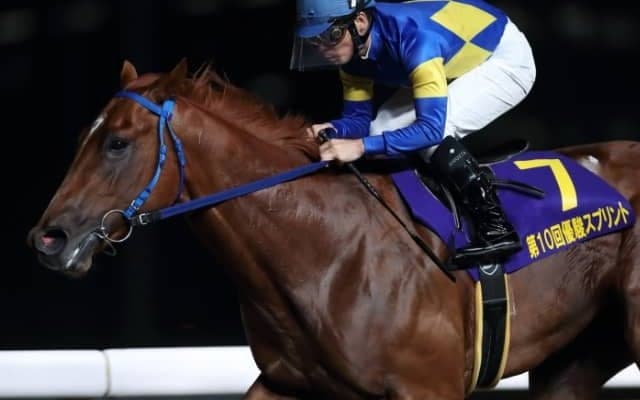 【大井・優駿スプリント】スプリント無敗のカプリフレイバーに繁田健一騎手「固まってくればもっと走れる」