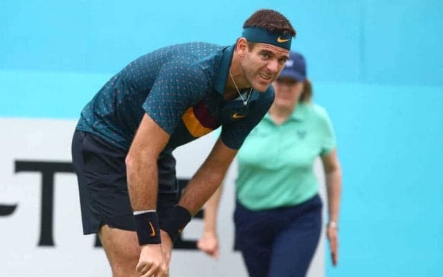 デル ポトロがフェデラーの担当医に膝の診断を受けたいと希望