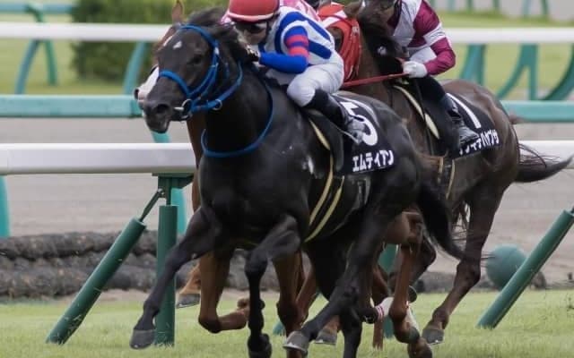 【門別競馬情報】JRA函館2歳Sへの出走資格を得る素質馬は？大注目の9R「JRA認定ウィナーズチャレンジ2競走」/地方競馬情報