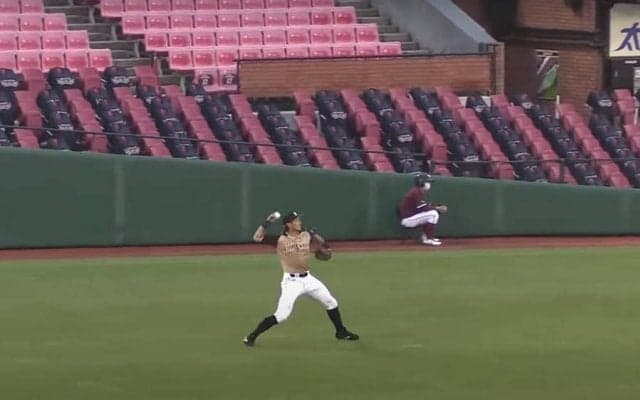 「日ハムに来て大正解」大田泰示の強烈“レーザービーム”にファン驚愕＆絶賛