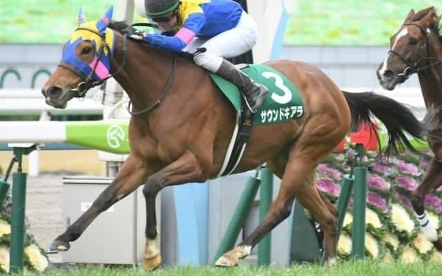 【次走】サウンドキアラはスワンSか富士Sで始動予定　ヴィクトリアマイルでは2着