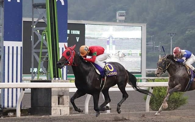 【地方競馬】2つの“ダービー”　それぞれの物語