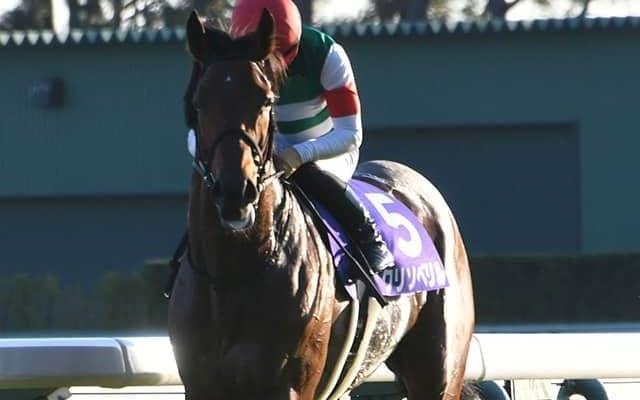 【帝王賞・馬体重】クリソベリルは540(前々走-10)kg、オメガパフュームは452(-8)kg