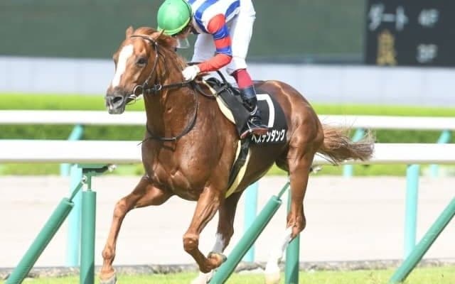 【次走】都大路S優勝の8歳馬ベステンダンクは中京記念へ