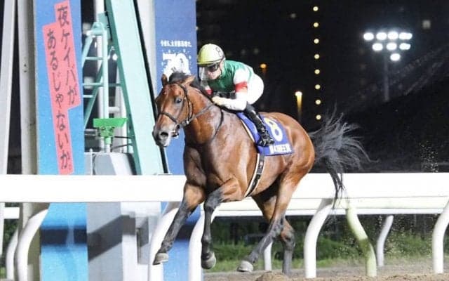 【帝王賞】国内に敵なし！クリソベリルが圧勝