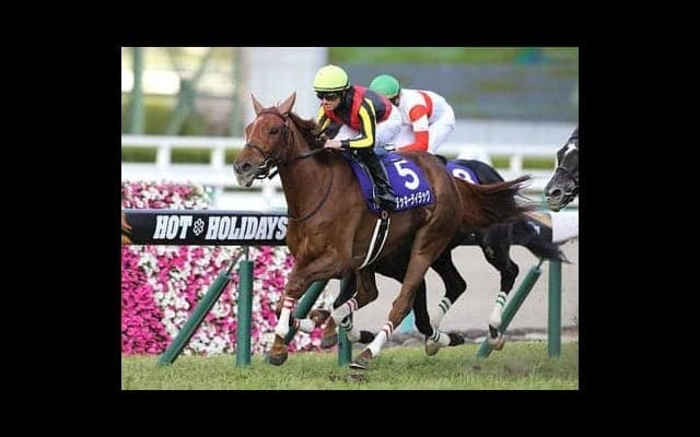 宝塚記念はズバリ「元３冠候補」が本命。強調材料が３つも揃っている