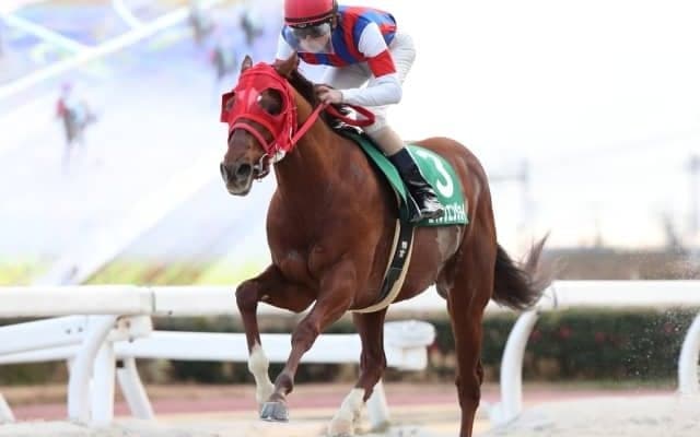 【園田FCスプリント予想】高知馬が馬券圏外はたった1回 高知のダノングッドか地元エイシンエンジョイか/NARレース展望