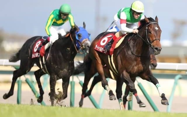 【宝塚記念枠順確定】サートゥルナーリアは3枠5番、ラッキーライラックは6枠11番