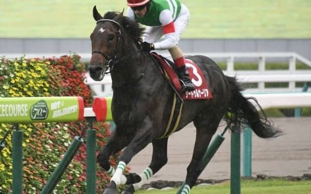 【宝塚記念 調教後馬体重】サートゥルナーリアは25日計量で516kg、ラッキーライラックは532kg