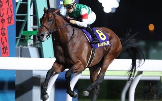 【帝王賞回顧】若い世代が台頭もクリソベリルが圧倒(斎藤修)