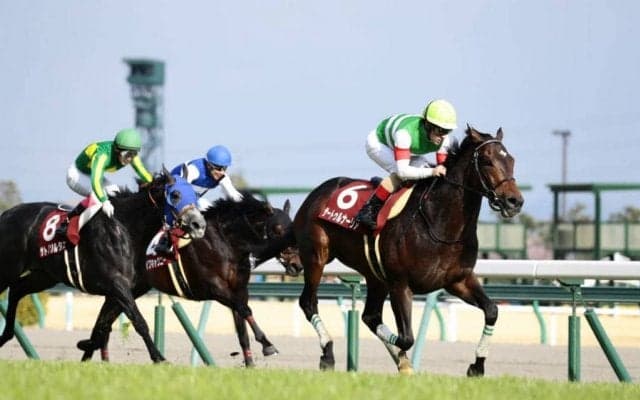 【宝塚記念】出走馬の調教後の馬体重