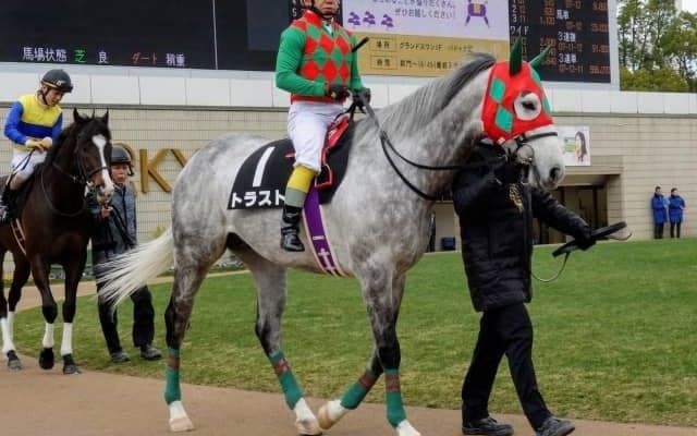 【東京JS枠順確定】トラストは5枠7番、ケイティクレバーは8枠13番