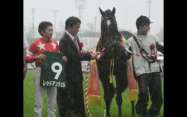 【CBC賞想定】高松宮記念1位入線クリノガウディー、昨年覇者レッドアンシェルなど17頭