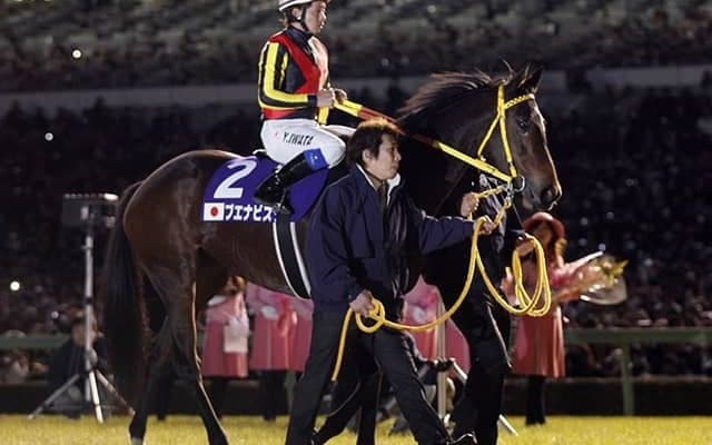 【宝塚記念予想】 芸能界屈指の相馬眼・草野仁が語る 「ブエナビスタでも勝てなかった阪神2200mの難しさ」/JRAレース展望