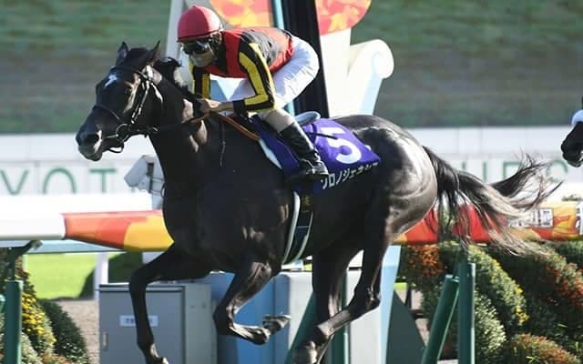 【宝塚記念予想】 3人の記者が難解サマーグランプリを一刀両断！ 重馬場を苦にしない“意外な伏兵”とは？/JRAレース展望