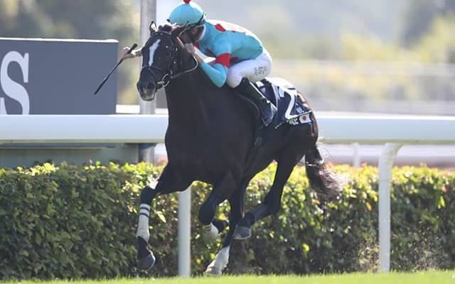 【宝塚記念予想】 サマーグランプリを制するための“3つのポイント”！ 時計のかかる馬場だからこそ狙いたい穴馬の条件とは？/JRAレース展望