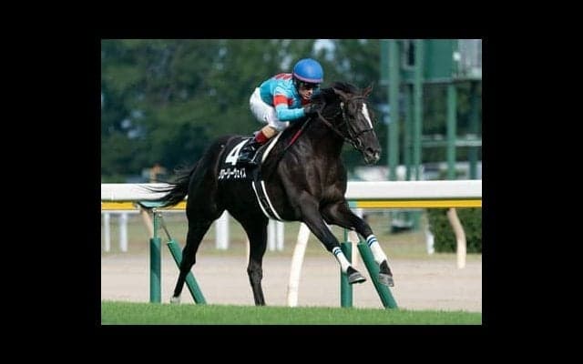 宝塚記念は地味な実力馬に要注意。人気馬に圧勝の再現をマジで狙う