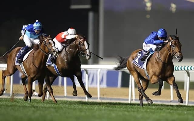 【仏・サンクルー大賞】ドバイSC覇者オールドペルシアン、チェコ所属馬ナガノゴールドなど5頭立て