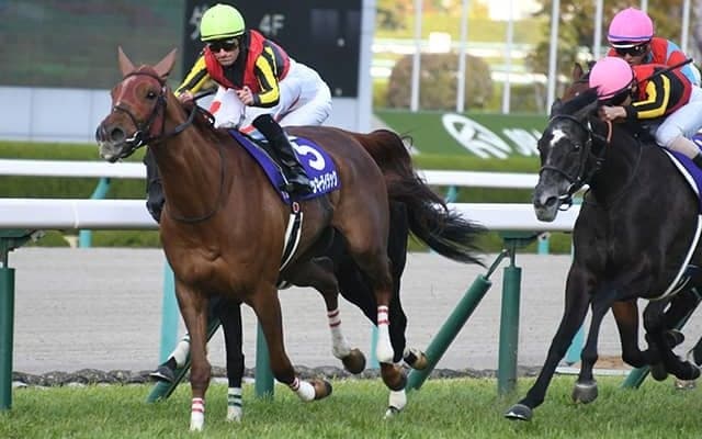 【宝塚記念予想】 サマーグランプリは脚が遅いほうが有利!? 競馬の真理と矛盾するその言葉の“真意”とは？/JRAレース展望
