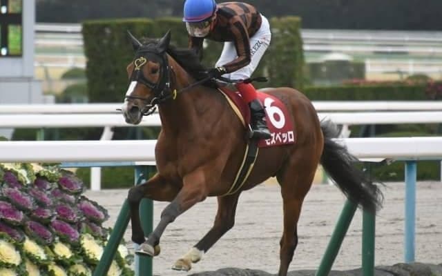 【宝塚記念ゴールデンコンビ】「直近1年」の複勝率50.0％、複勝回収率131.8％！「森田直行厩舎×池添謙一騎手」のモズベッロ