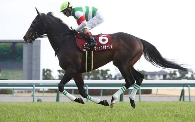 【宝塚記念前日オッズ】サートゥルナーリアが2.8倍で1番人気