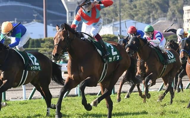 【宝塚記念予想】 3人の記者がサマーグランプリの行方を占う！ 攻略のカギを握るのは“馬場適性”と“展開”!?/JRAレース展望