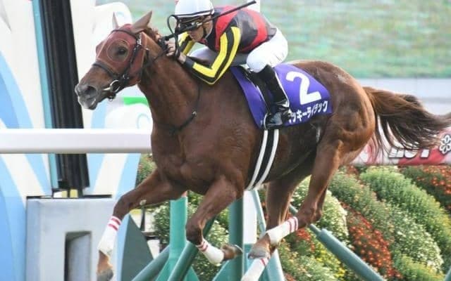 【本日の注目ポイント】上半期の総決算・宝塚記念で豪華メンバーが激突！