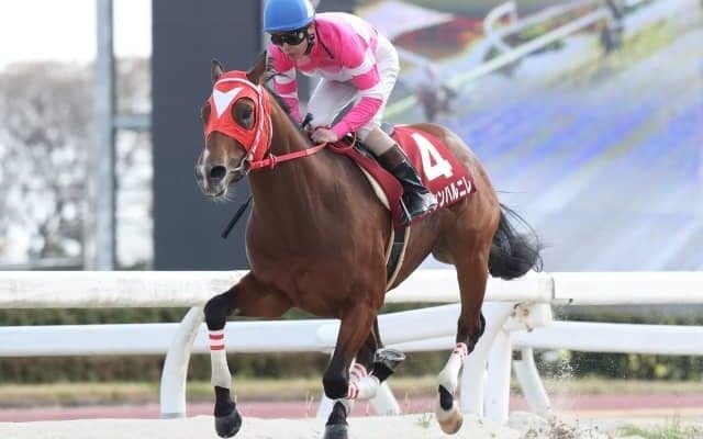 【ウイナーカップ予想】マイランコントルの重賞初制覇か!? あるいは混戦を極めるのか!?/NARレース展望