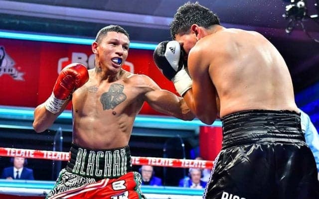 Sフェザー級最強王者、さすがの“強烈左フック”に米驚愕「残忍なKO」「野蛮な試合」