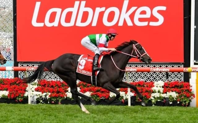 【豪・コックスプレート】宝塚記念を制したクロノジェネシスが1番人気タイに