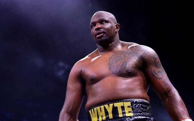 庭で世界戦開催！　異例の“青空リング”の実物公開に英驚き「CG？それとも本物？」