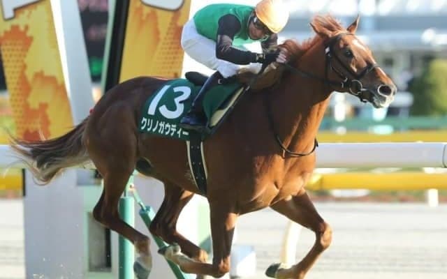 ハンデGIIIラジオNIKKEI賞＆CBC賞に注目/今週の競馬界の見どころ