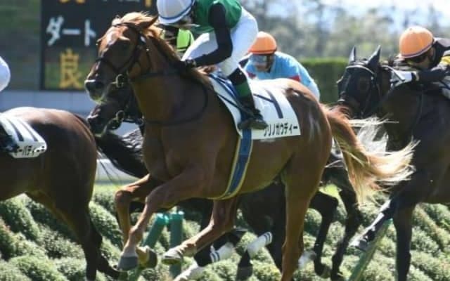 【CBC賞見どころ】高松宮記念1位入線のクリノガウディーが人気の中心