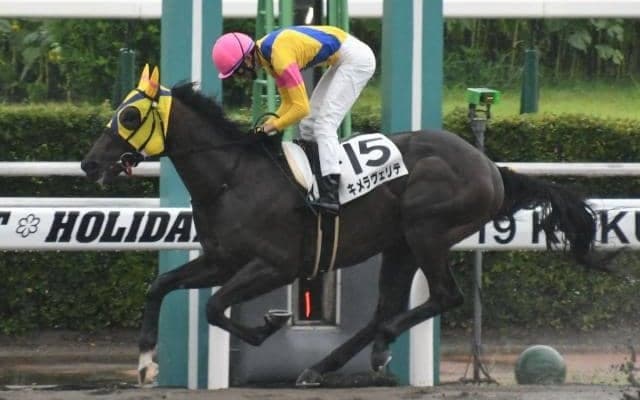 【ラジオNIKKEI賞ハンデ確定】武豊騎手とコンビのパラスアテナは52kg、DG勝ち馬キメラヴェリテは56kg